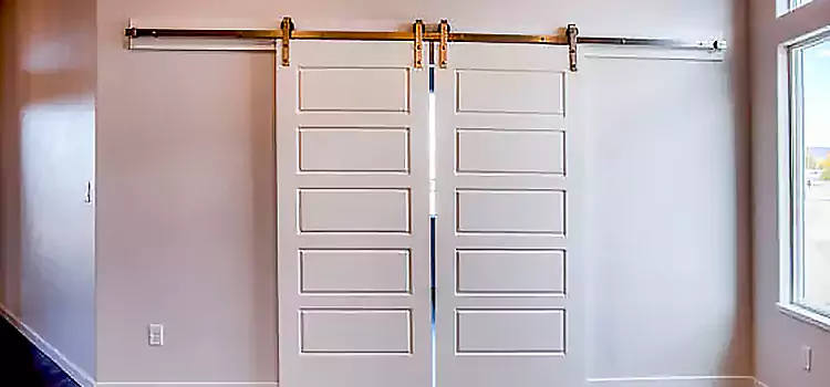 Glass Barn Door with Installation Hardware Kit Burlington